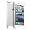 Apple iPhone 5 64Gb white - Бологое